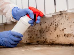 Best Mold Prevention Services  in Valmeyer, IL